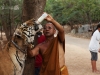 animals_006