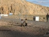 children_036