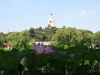 china_050