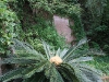 china_060