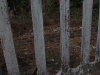 india_015