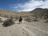 mustang_015