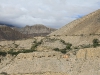 mustang_017