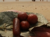 things_013