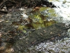 water_001