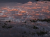 water_002