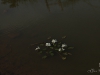 water_003