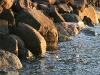 water_010